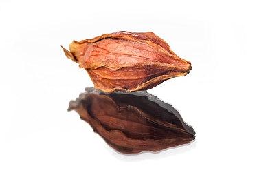 《消逝的光芒》开发商正在开发第二个新IP 采用虚幻5引擎